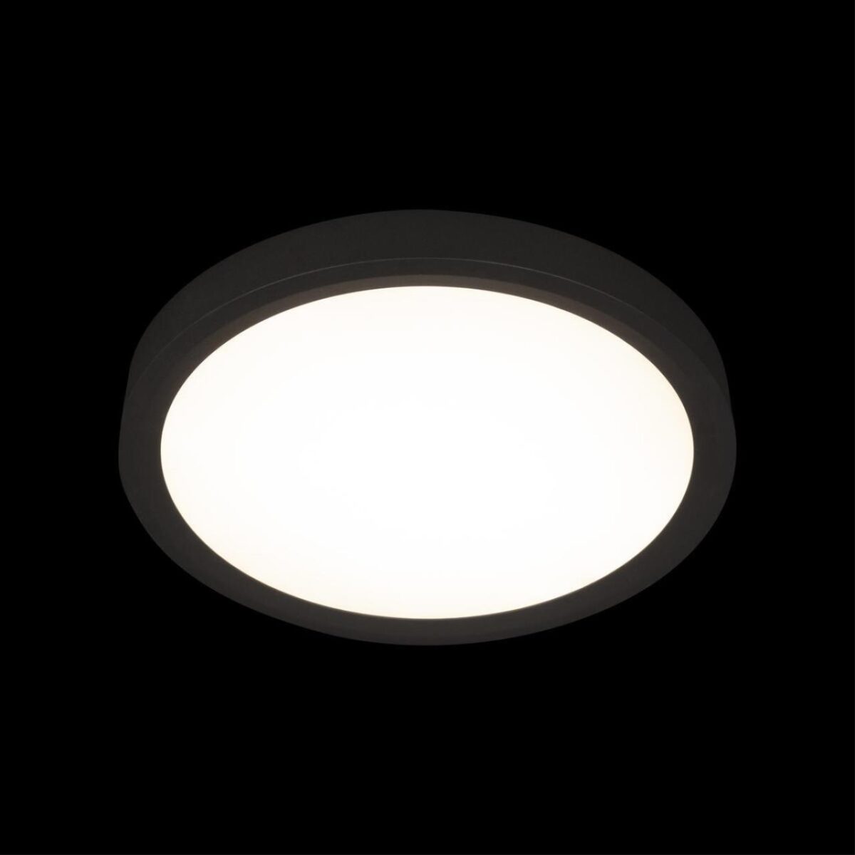 10227/24 Black Потолочный светильник LOFT IT Extraslim — изображение 2