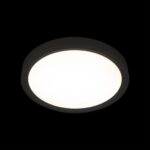 10227/24 Black Потолочный светильник LOFT IT Extraslim — изображение 2