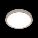 10227/24 White Потолочный светильник LOFT IT Extraslim — изображение 2