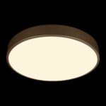 10228/A Потолочный светильник LOFT IT Flims — изображение 2