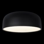10201/480 Black Потолочный светильник LOFT IT Axel — изображение 2