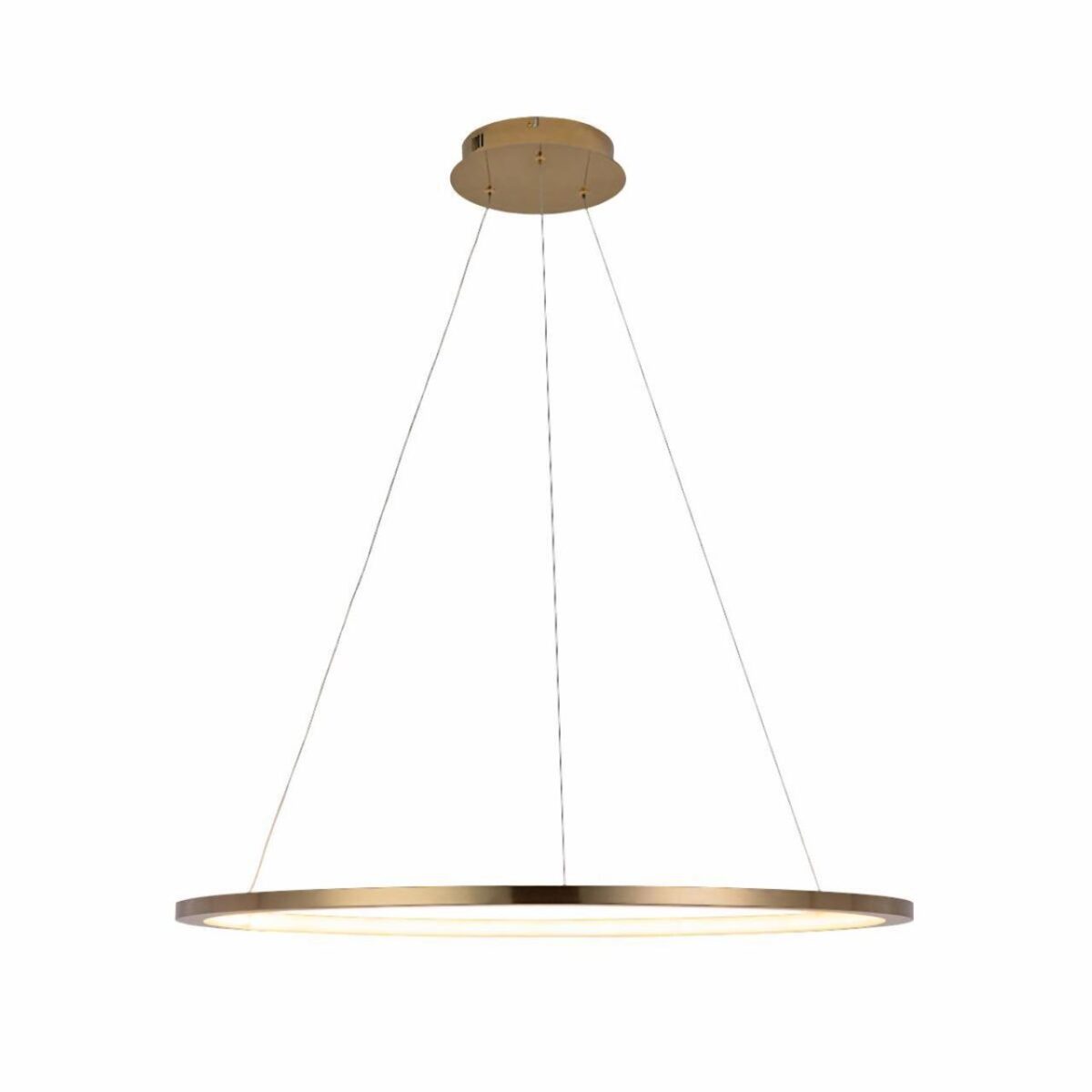 6b8ed273761c23c9678a9327bbf71b66 10014L Подвесной светильник LOFT IT Ring — изображение 1