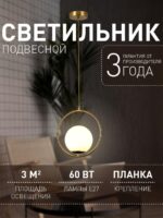 2788-1P — изображение 2