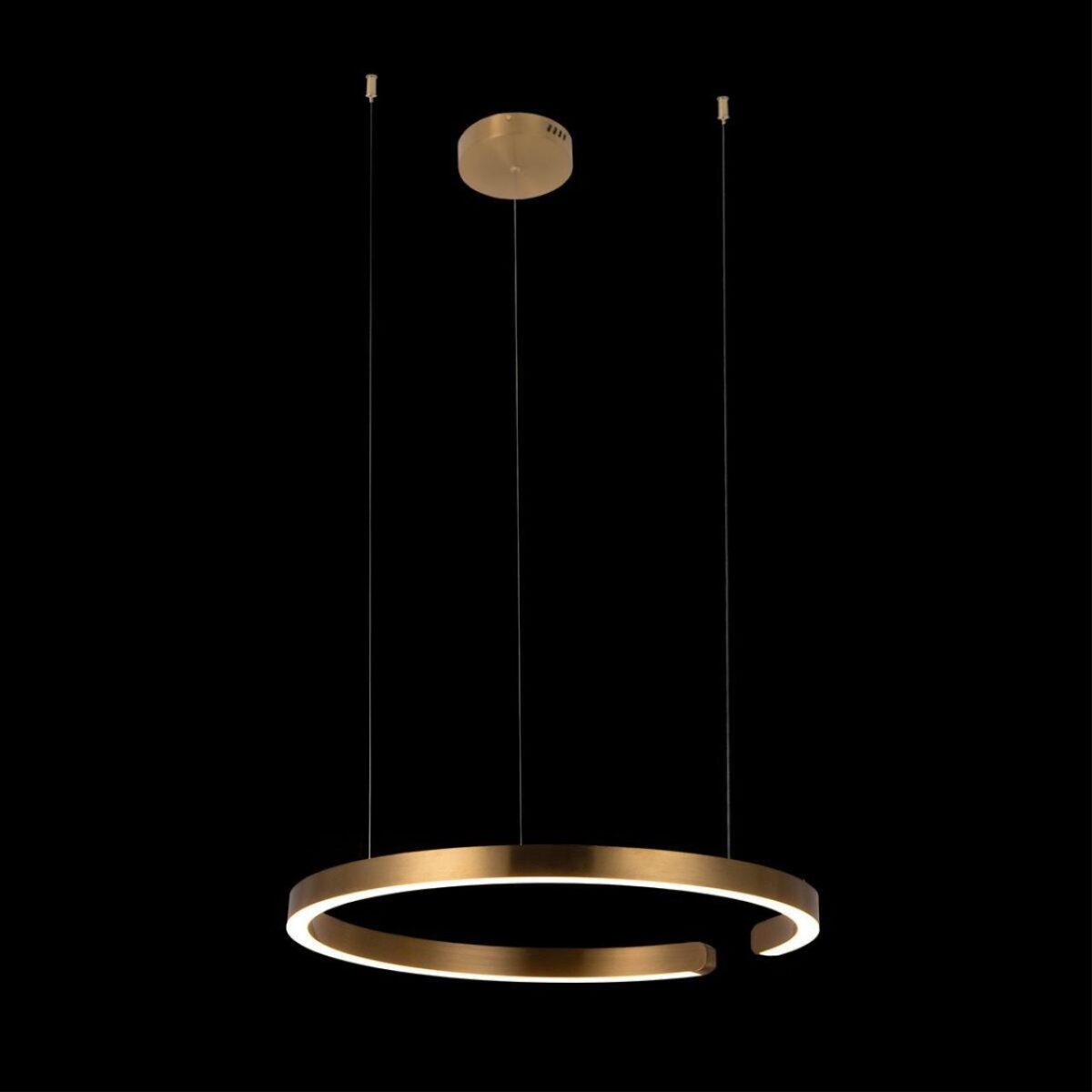 10013L Подвесной светильник LOFT IT Ring — изображение 2