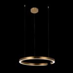 10013L Подвесной светильник LOFT IT Ring — изображение 2