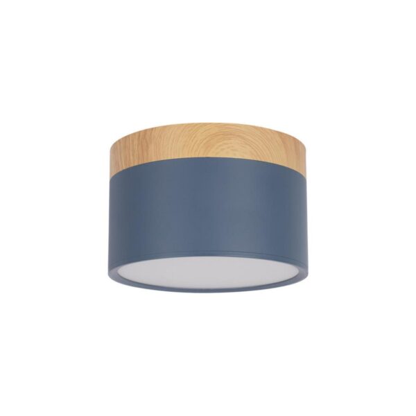 10162 Blue Накладной светильник LOFT IT Grape
