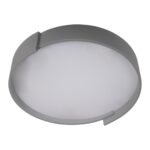 10200 Grey Потолочный светильник LOFT IT Coin — изображение 3