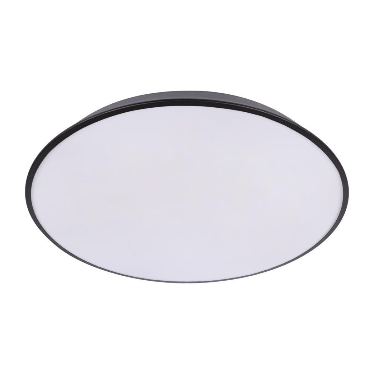 10226 Black Потолочный светильник LOFT IT Brim — изображение 3