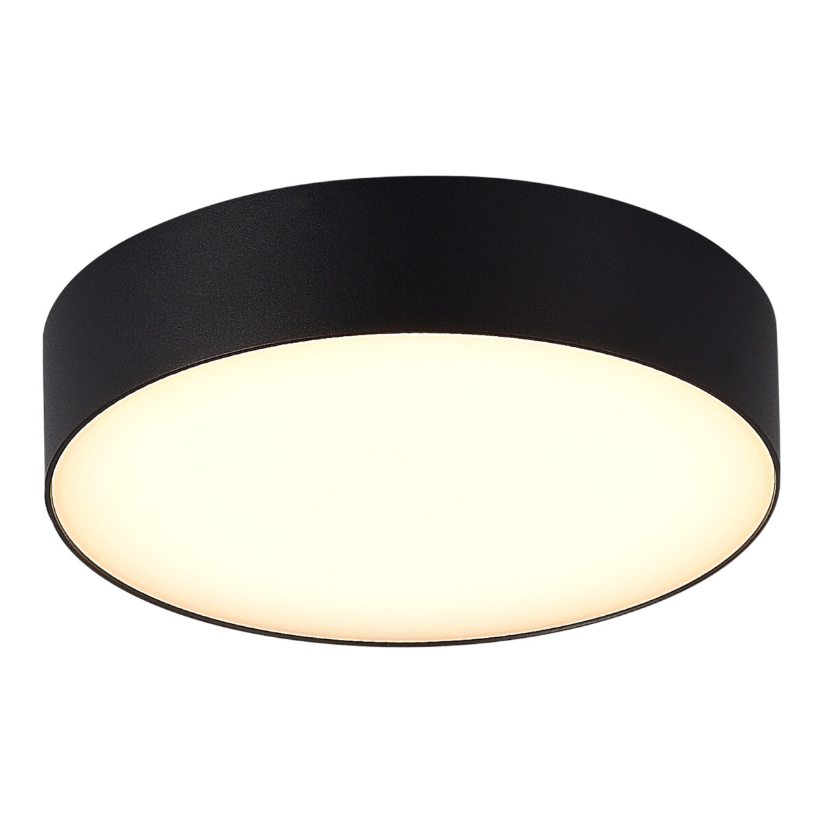 SL9518.402.01_01W SL9518.402.01 Светильник уличный потолочный ST-Luce черный/белый LED 1*20W 3000K/4000K/5000K САН — изображение 1