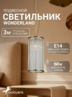 2907-1P — изображение 2