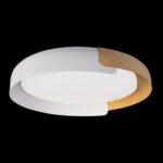 10198 White Потолочный светильник LOFT IT Coin — изображение 2