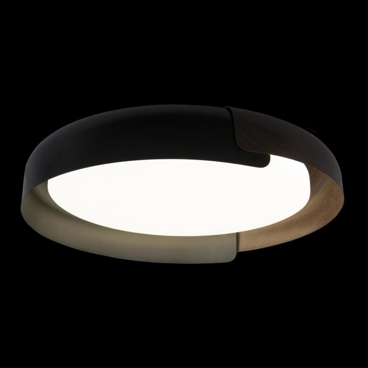 10198 Black Потолочный светильник LOFT IT Coin — изображение 2