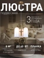 4619-3P — изображение 2