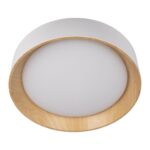 10202 White Потолочный светильник LOFT IT Coin — изображение 3
