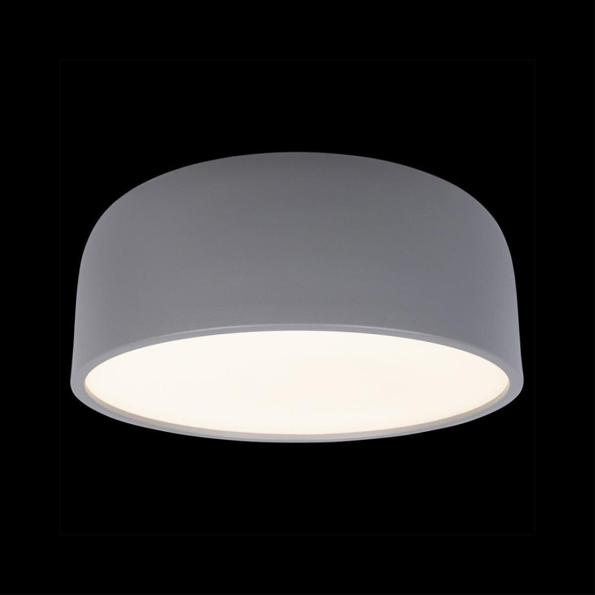 10201/350 Grey Потолочный светильник LOFT IT Axel — изображение 2