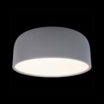 10201/350 Grey Потолочный светильник LOFT IT Axel — изображение 2