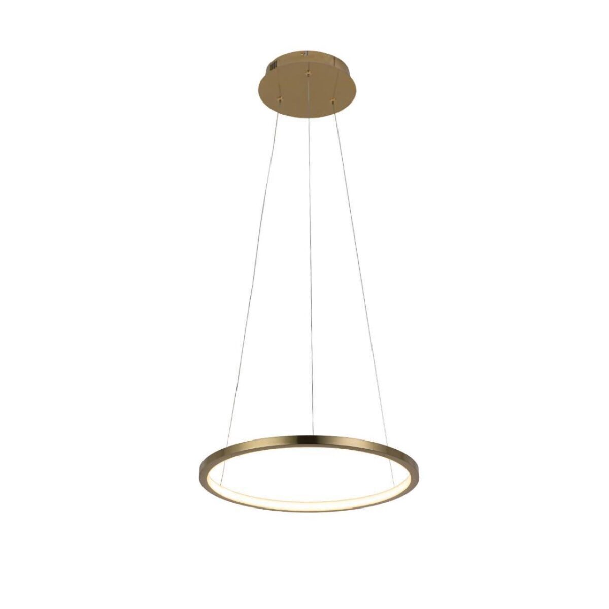 cd5e97d9a356917f972ac8b972df9f80 10014S Подвесной светильник LOFT IT Ring — изображение 1