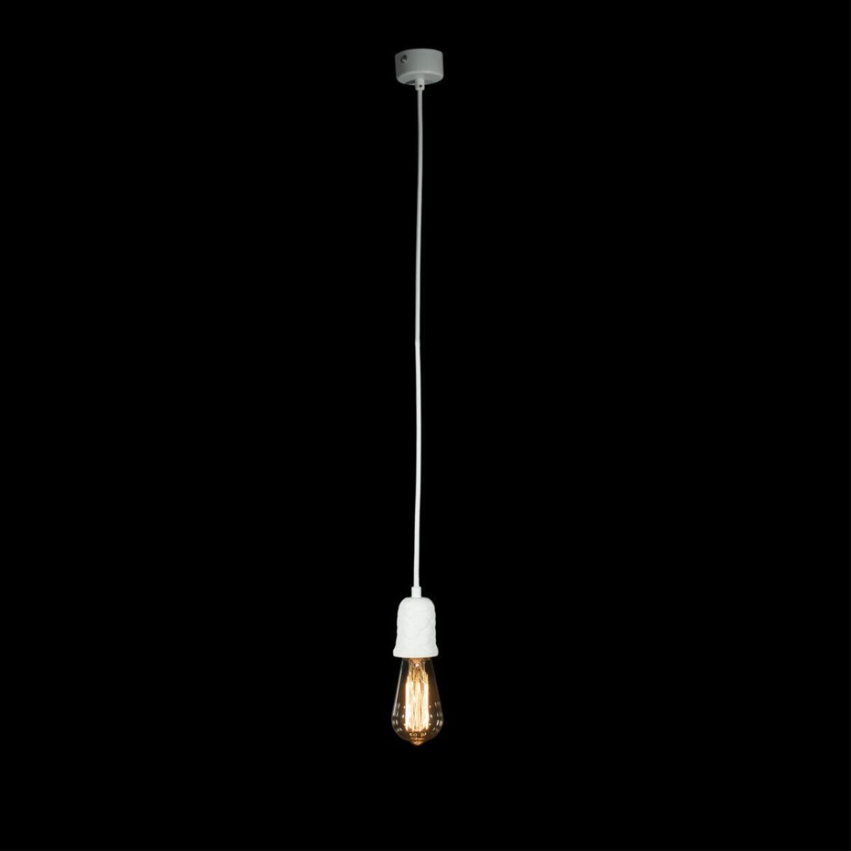 10091 Подвесной светильник LOFT IT Sherwood — изображение 2