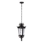 100003P Уличный подвесной светильник LOFT IT Verona