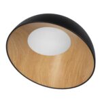 10197/500 Black Потолочный светильник LOFT IT Egg — изображение 3