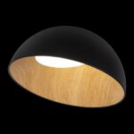 10197/500 Black Потолочный светильник LOFT IT Egg — изображение 2