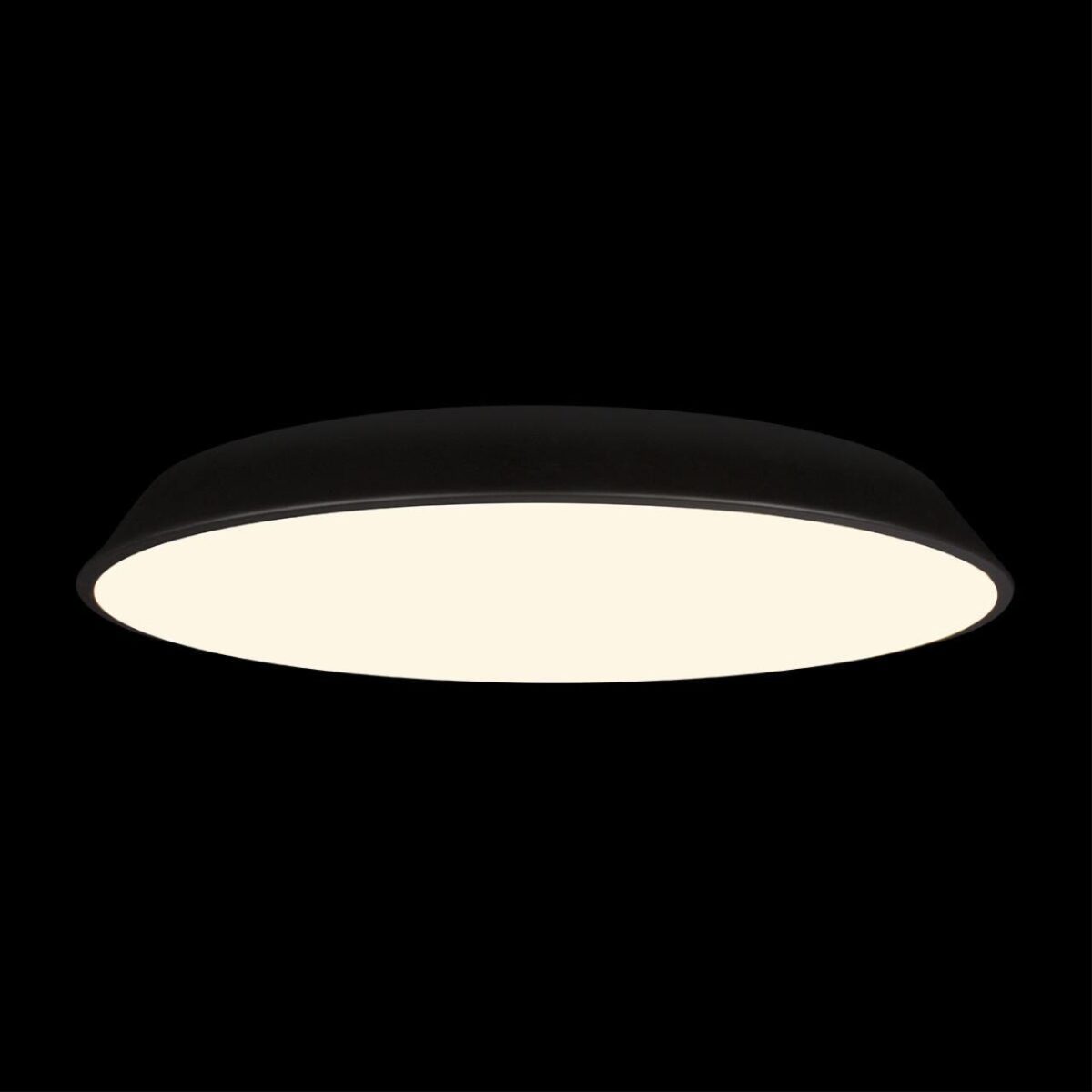 10226 Black Потолочный светильник LOFT IT Brim — изображение 2