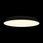 10226 Black Потолочный светильник LOFT IT Brim — изображение 2