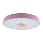 10003/24 Pink Потолочный светильник LOFT IT Axel