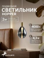 4255-1P — изображение 2