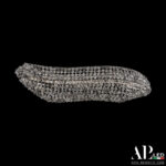 Люстра светодиодная хрустальная S507.0.60.A.3000 Arte Perfetto Luce