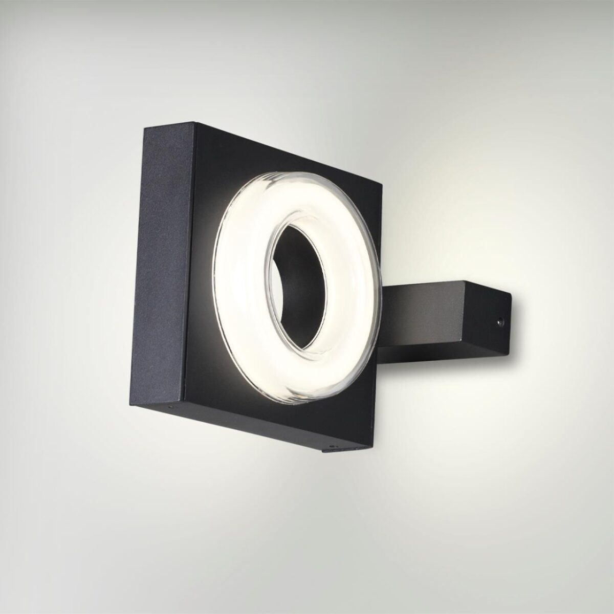 6654/5WL NATURE ODL24 000 черный/металл Уличный настенный светильник IP54 LED 5W 4000K AC85-265V VART — изображение 2