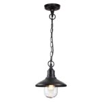 4965/1 NATURE ODL22 713 черный/стекло Ландшафтный подвес E27 1*60W IP44 CAMPA — изображение 2