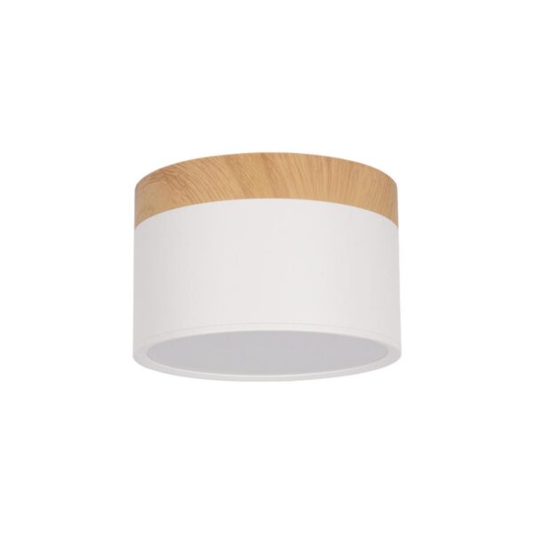 10162 White Накладной светильник LOFT IT Grape