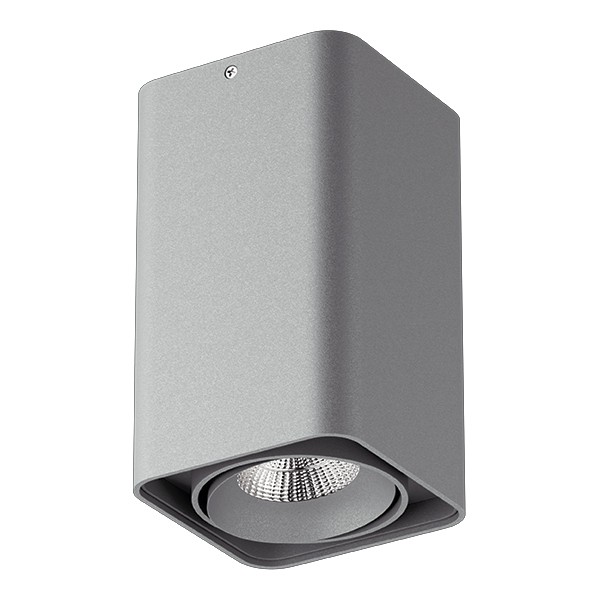 052339-IP65 Светильник MONOCCO LED10W 600LM 30G СЕРЫЙ 3000K