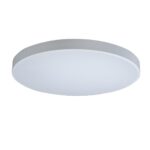 10002/48 White Потолочный светильник LOFT IT Axel — изображение 2