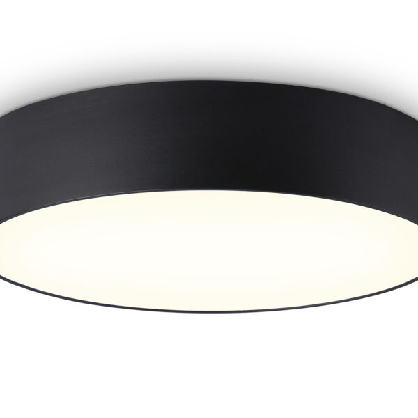 FV5525 BK черный LED 35W 3000K D300*58 (Без ПДУ)
