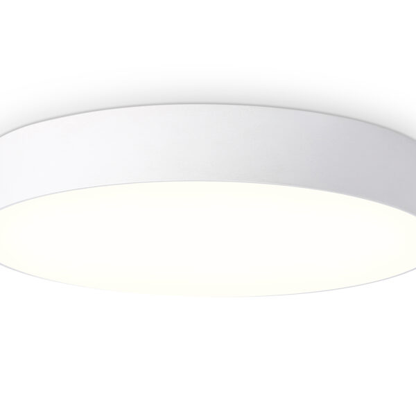FV5531 WH белый LED 60W 3000K D500*58 (Без ПДУ)