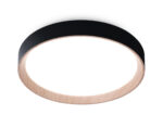 FZ1324 BK/LWD черный/светлое дерево IP20 41W 3000-6400K D390*70 (ПДУ ИК)