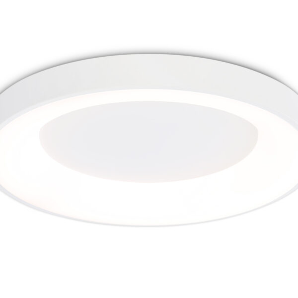 FZ1401 WH белый IP20 48W 3000K-6500K D500*50 (ПДУ ИК)