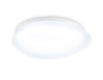 FZ1601 FR матовый IP20 40W 5000K 410*100 (Без ПДУ)