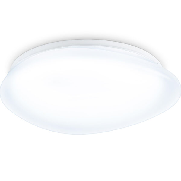 FZ1601 FR матовый IP20 40W 5000K 410*100 (Без ПДУ)