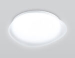 FZ1601 FR матовый IP20 40W 5000K 410*100 (Без ПДУ) — изображение 3