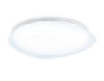 FZ1605 FR матовый IP20 60W 5000K 510*100 (Без ПДУ)