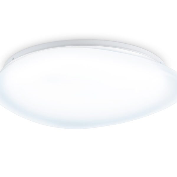 FZ1605 FR матовый IP20 60W 5000K 510*100 (Без ПДУ)