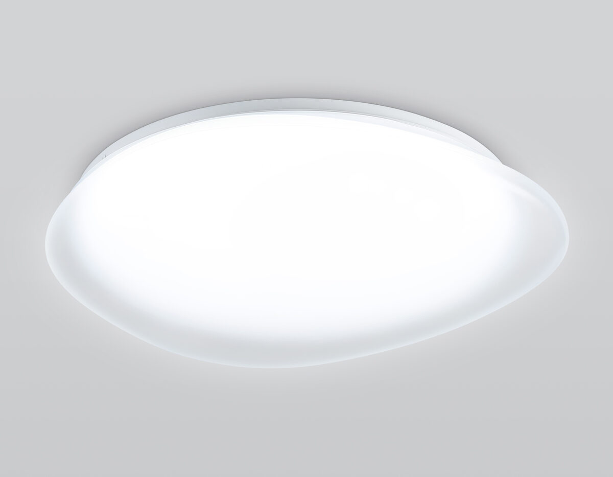 FZ1605 FR матовый IP20 60W 5000K 510*100 (Без ПДУ) — изображение 3