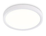 FZ1901 WH белый IP54 13W 3000K-6500K CCT-переключатель D230*25 (Без ПДУ)