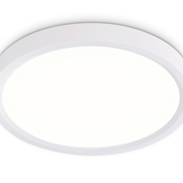 FZ1901 WH белый IP54 13W 3000K-6500K CCT-переключатель D230*25 (Без ПДУ)