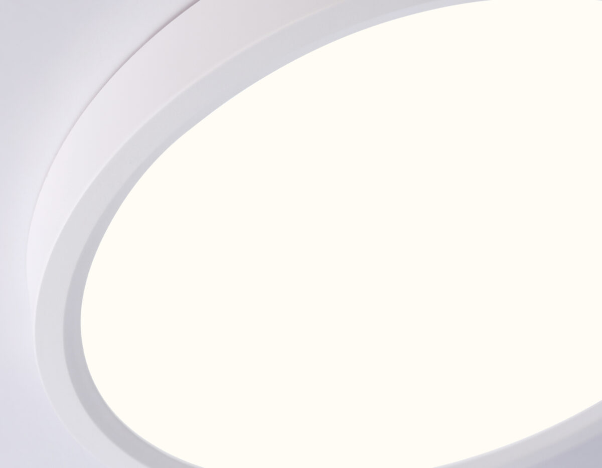 FZ1901 WH белый IP54 13W 3000K-6500K CCT-переключатель D230*25 (Без ПДУ) — изображение 2