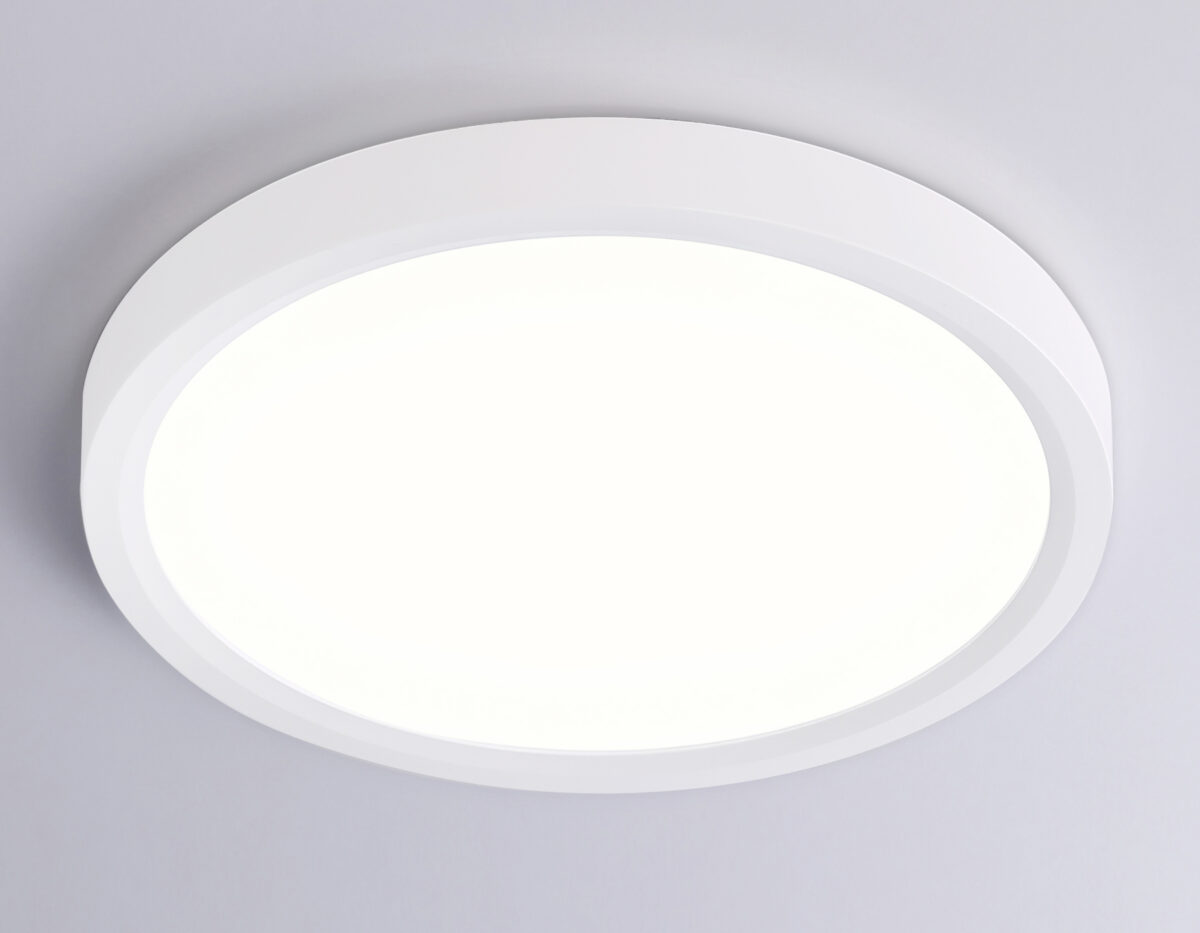 FZ1901 WH белый IP54 13W 3000K-6500K CCT-переключатель D230*25 (Без ПДУ) — изображение 3