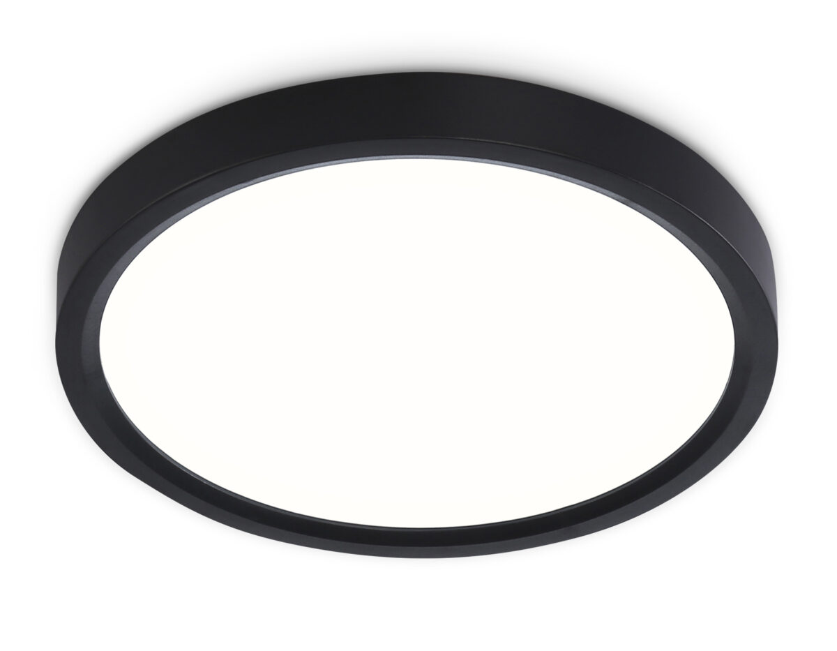 FZ1902 BK черный IP54 13W 3000K-6500K CCT-переключатель D230*25 (Без ПДУ) — изображение 1
